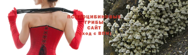 трава Алексеевка