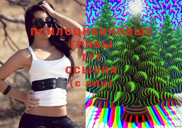 прущая мука Алзамай