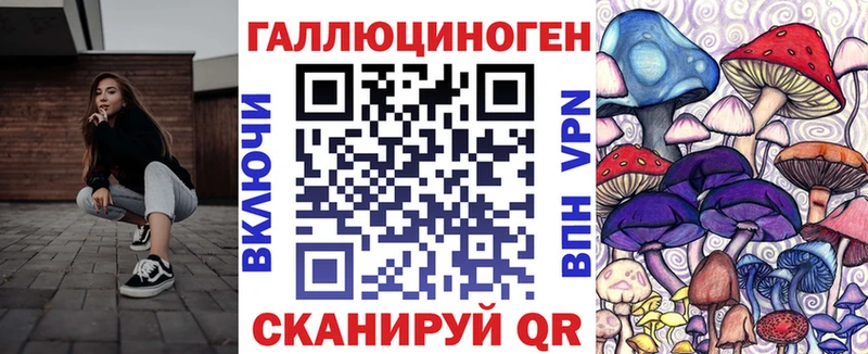 Галлюциногенные грибы Psilocybe Заполярный