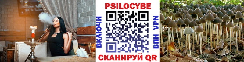 Псилоцибиновые грибы Magic Shrooms  это Telegram  Заполярный 